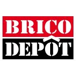 Logo Brico Dépôt